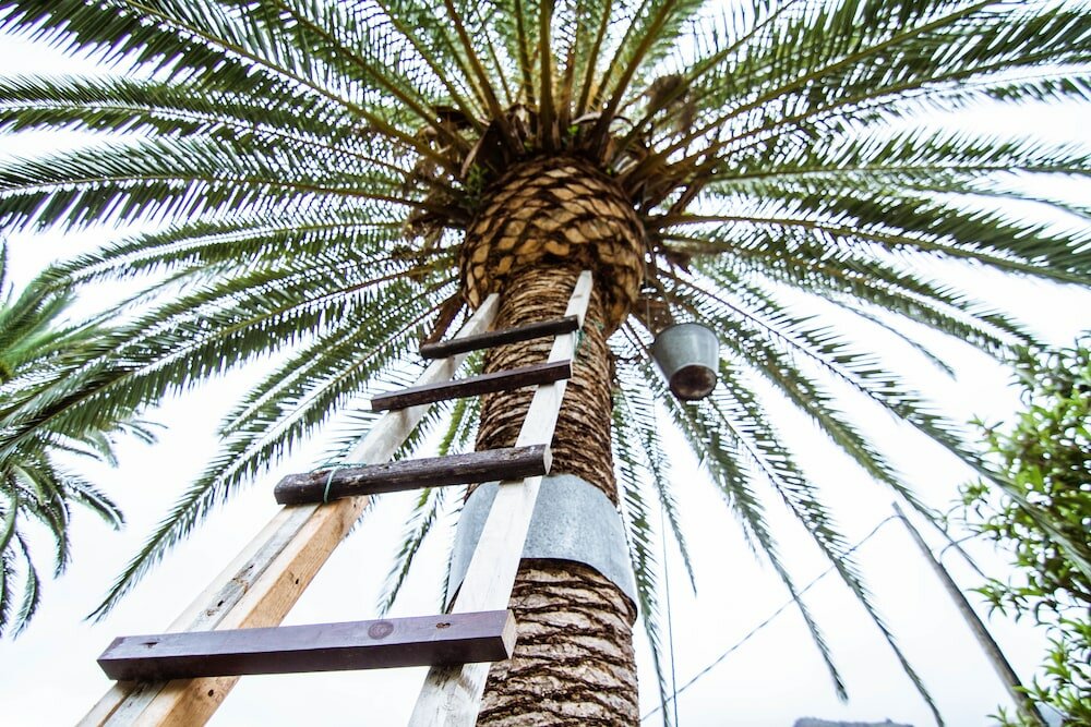 Фото Apartamentos Los Telares