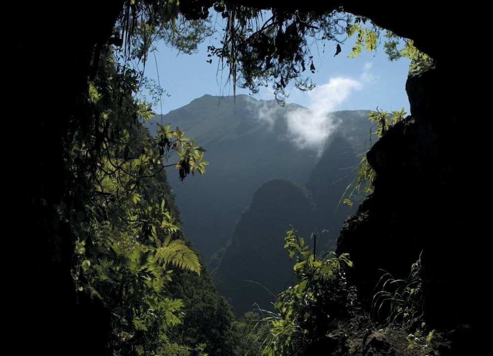 Фото Madeira Bright Star Hotel