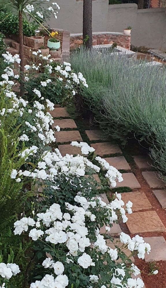 Фото Over The Moon Guesthouse