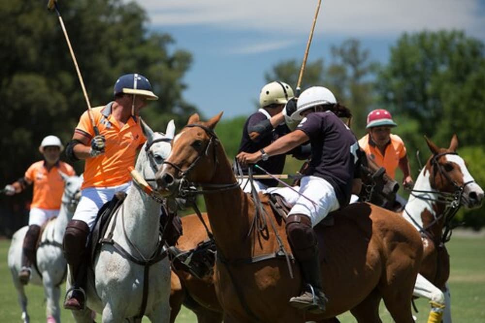 Фото Milhouse Hostel Hipo