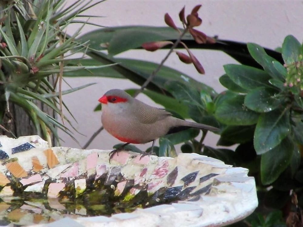 Фото Squirrels Corner