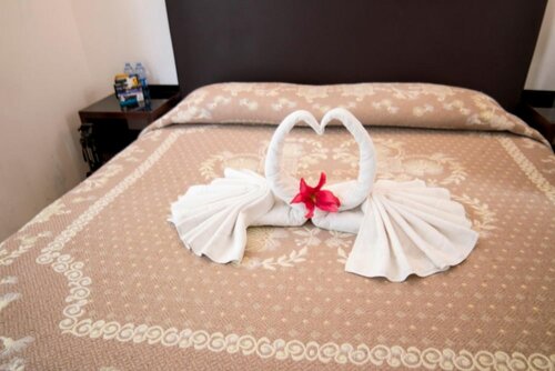 Гостиница Hotel Ross Morelia в Морелии