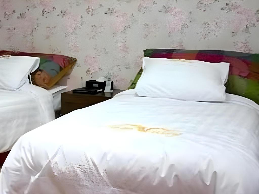 Фото High Valley Hotel