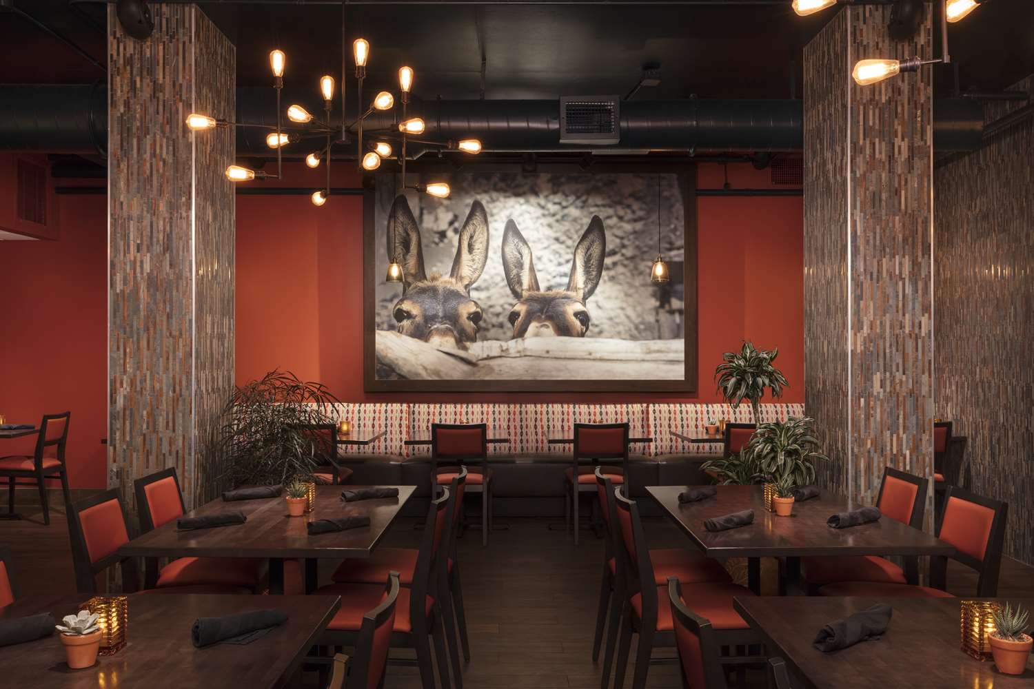 Фото Hilton Clearwater Beach Resort & SPA