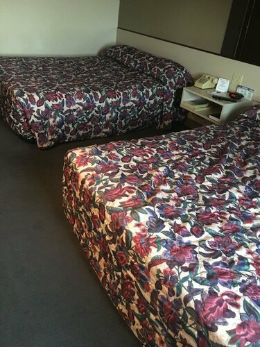 Гостиница Microtel Inn by Wyndham Champaign в Шампейне