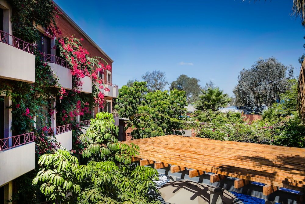 Фото Gamma Tijuana