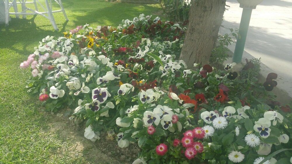 Фото Hotel Mirage