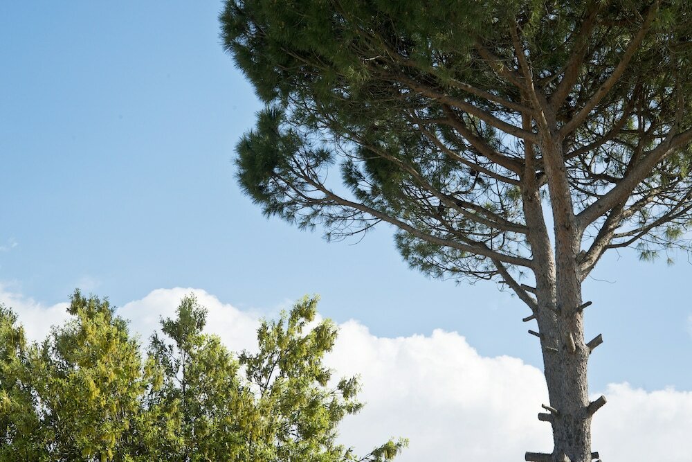 Фото Park Hotel La Grave