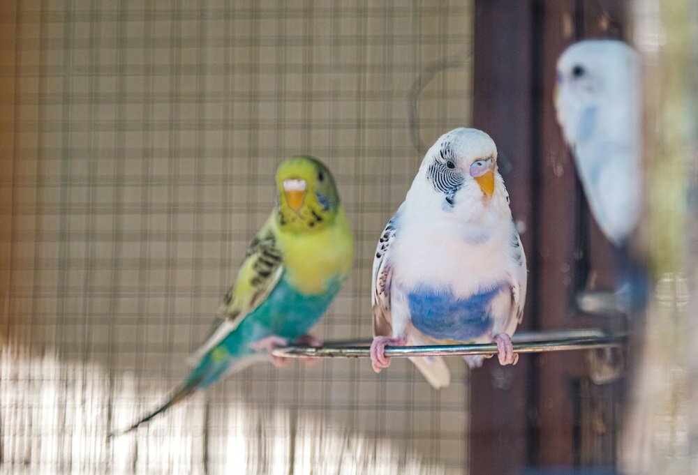 Фото Palms City Resort