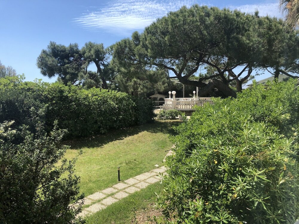 Фото Domizia Palace Hotel