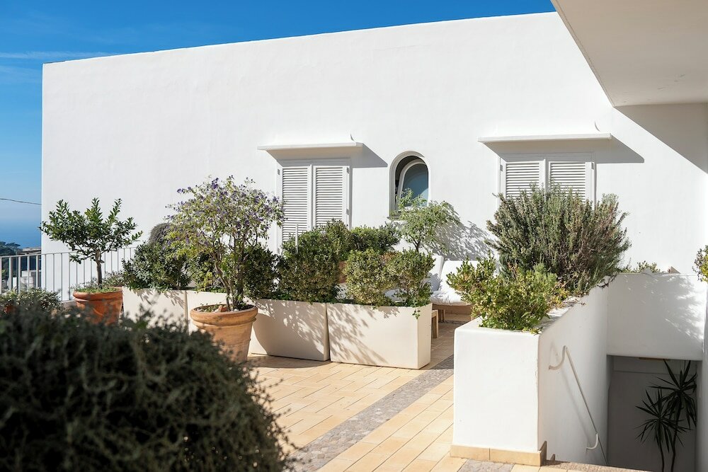 Фото Hotel Senaria