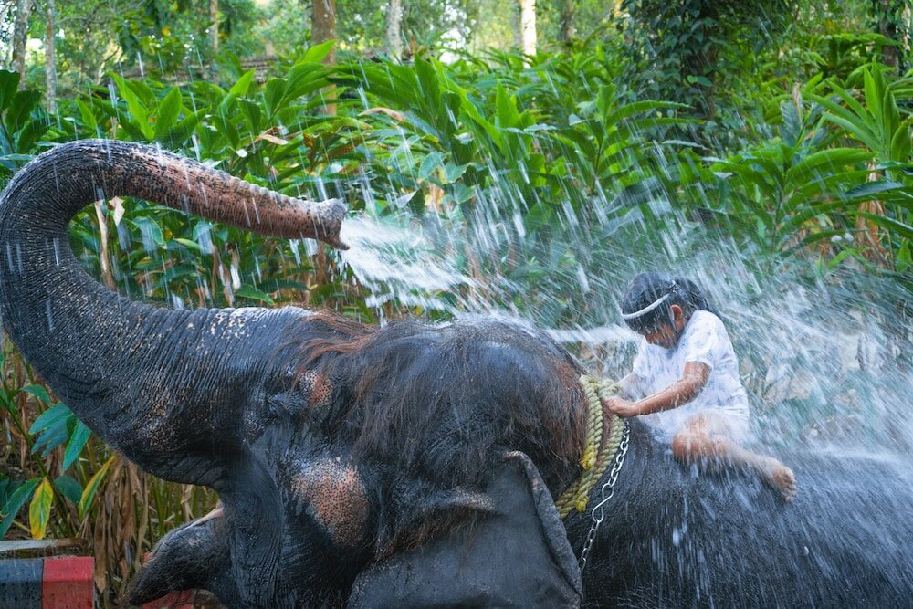 Фото Amritara Aura Resort & SPA	