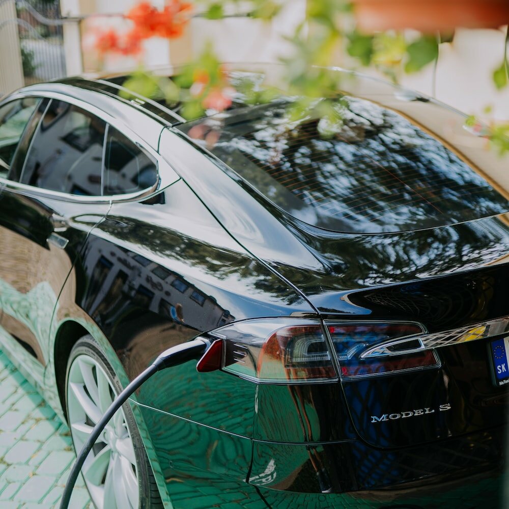 Фото Eco friendly Hotel Dalia