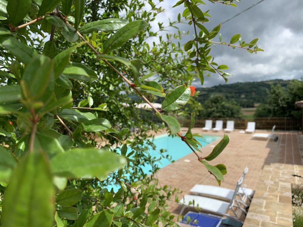 Фото Agriturismo la Palazzetta di Assisi