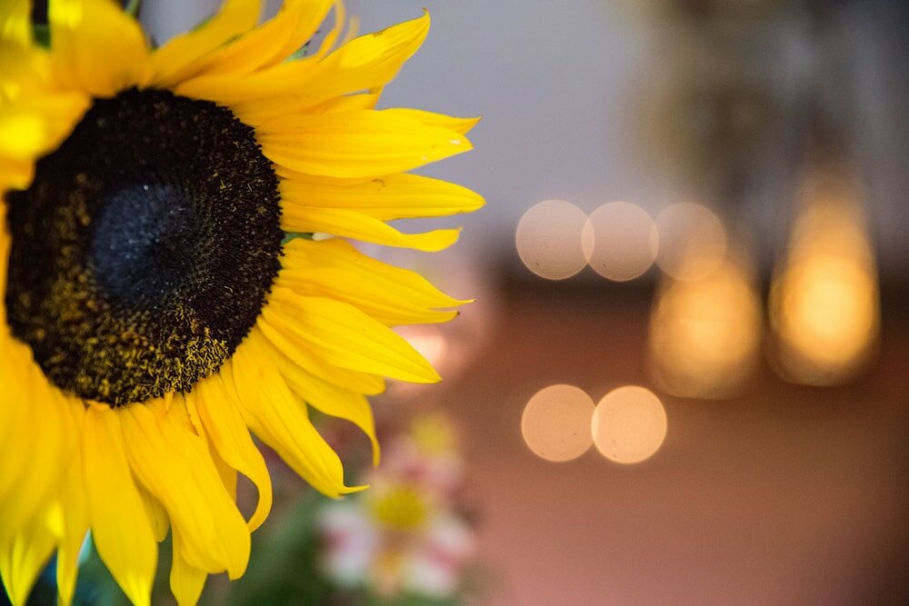 Фото Hotel La Casona