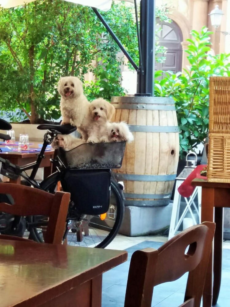 Фото B&b Oriental Palace