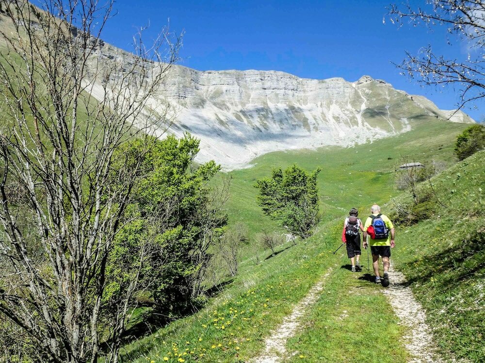 Фото Hotel Mercure Rodez Cathedrale