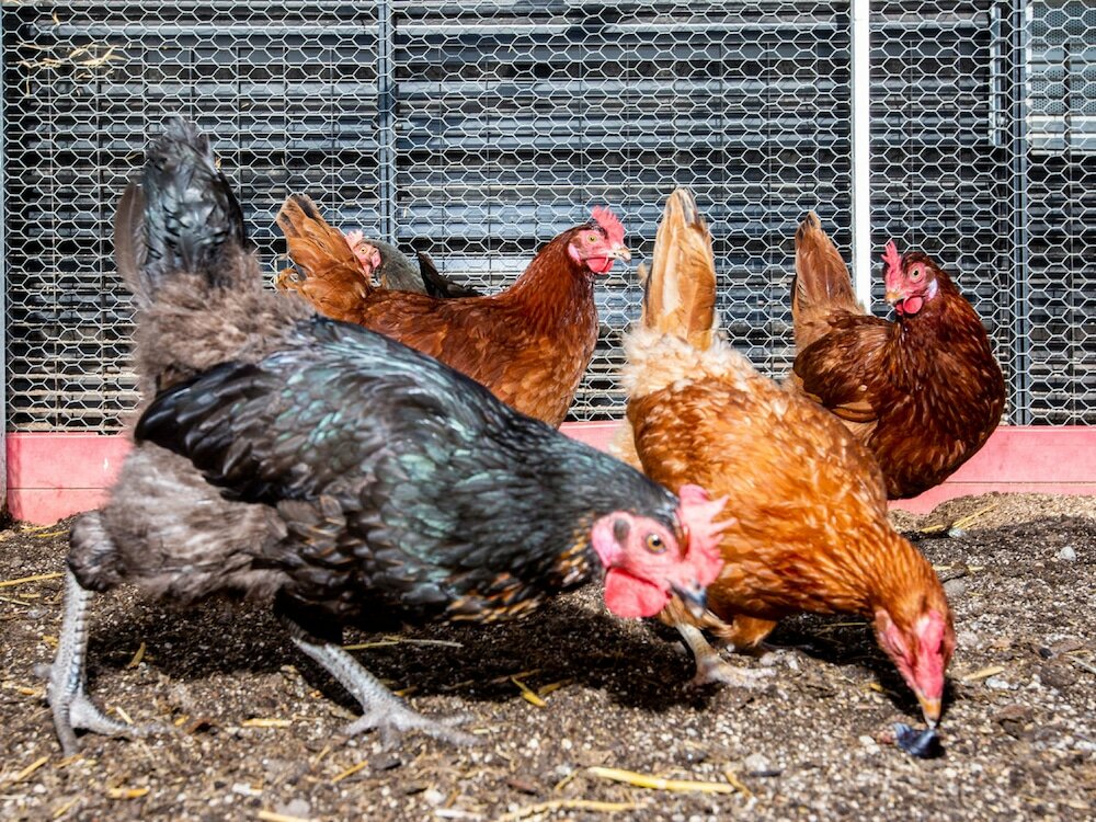 Фото Mob Paris Les Pouches