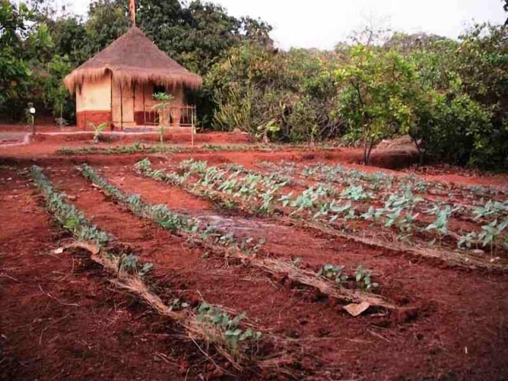 Фото Banyan Tree Yoga