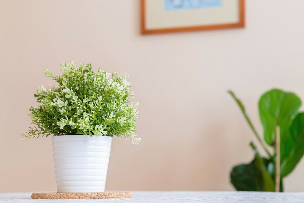 Фото Aparthotel Sibelius