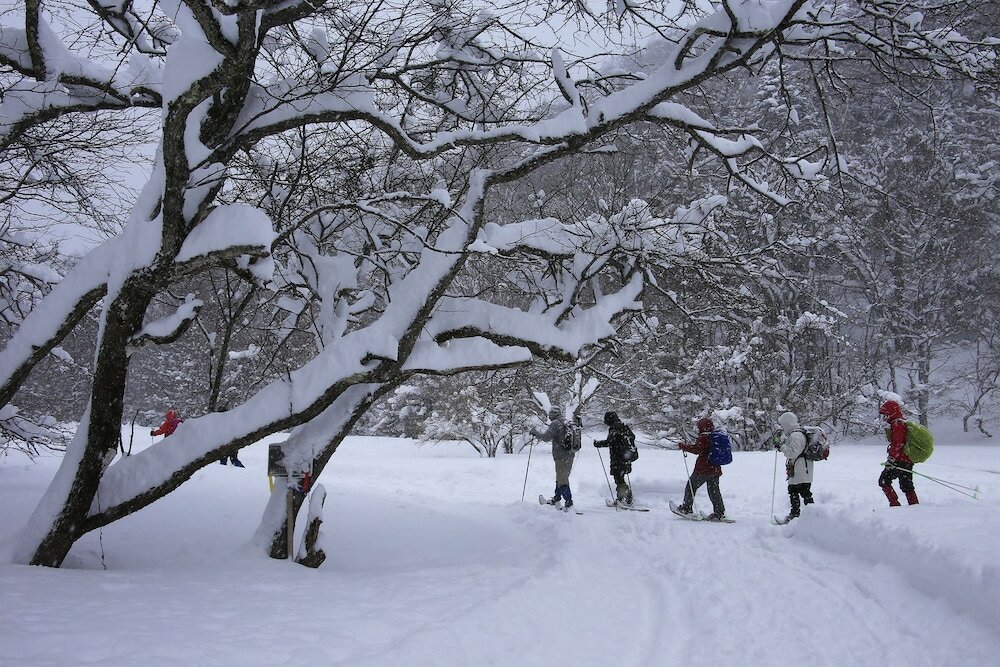 Фото Nikko Astraea Hotel