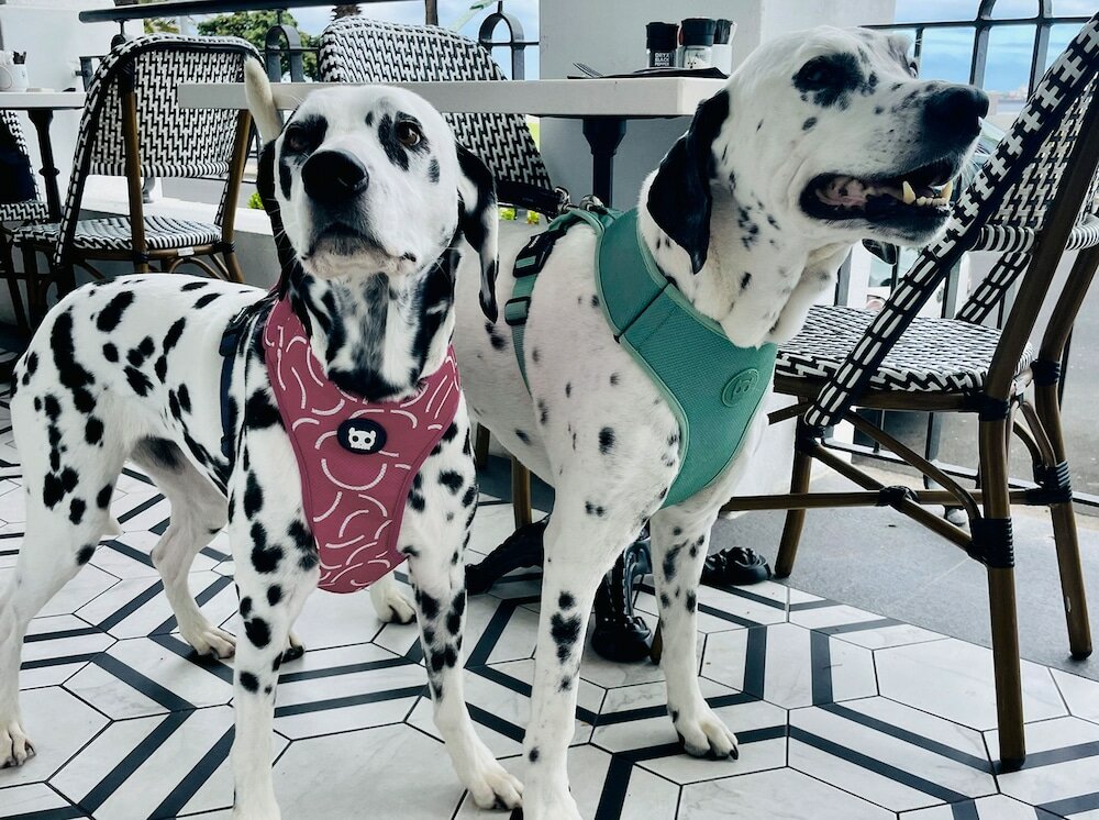 Фото The Winchester Hotel by Newmark