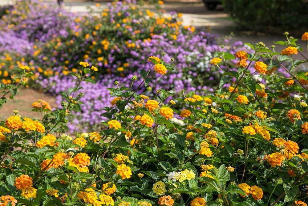 Фото Masseria Saietti