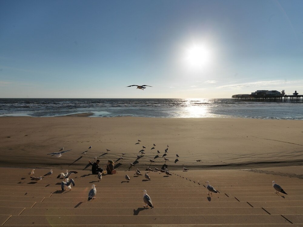 Фото Howarth House Apartments