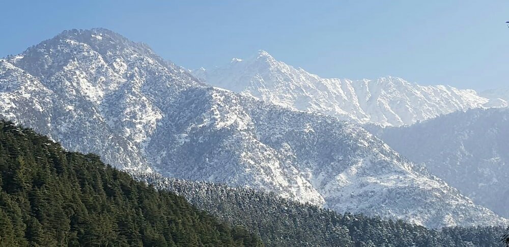 Фото Villa Paradiso