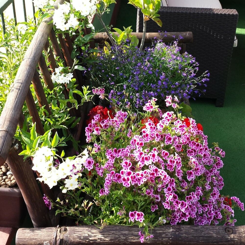 Фото Sky Sleeping