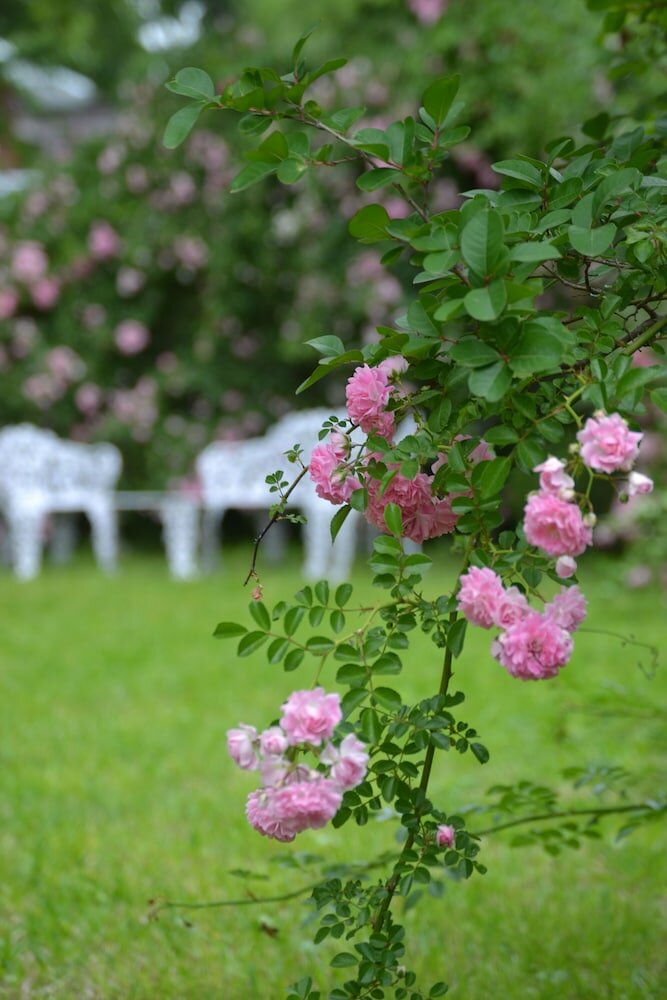 Фото The Carleton House