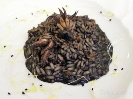 Фото Hotel Helvetia