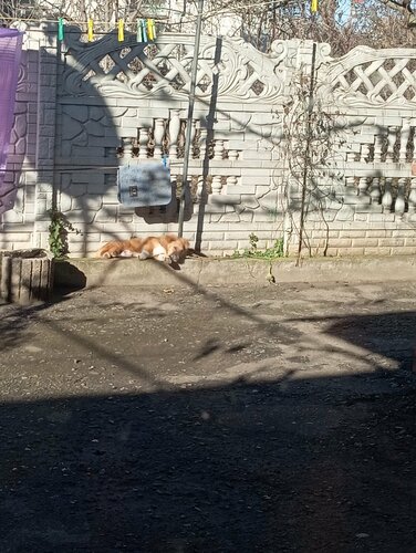 Tren garları Pennsylvania Station, New York, foto