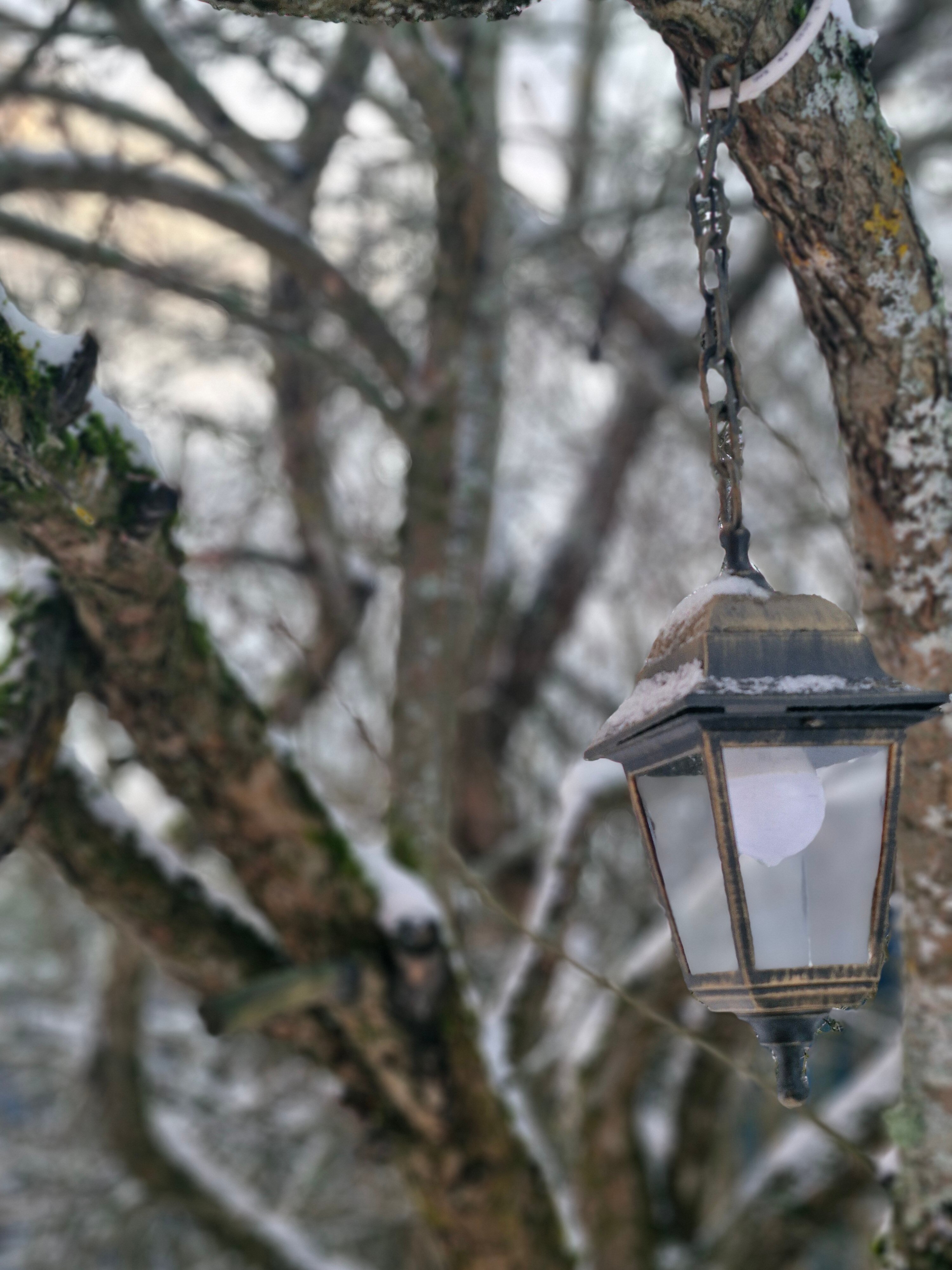 Фото Алая дача