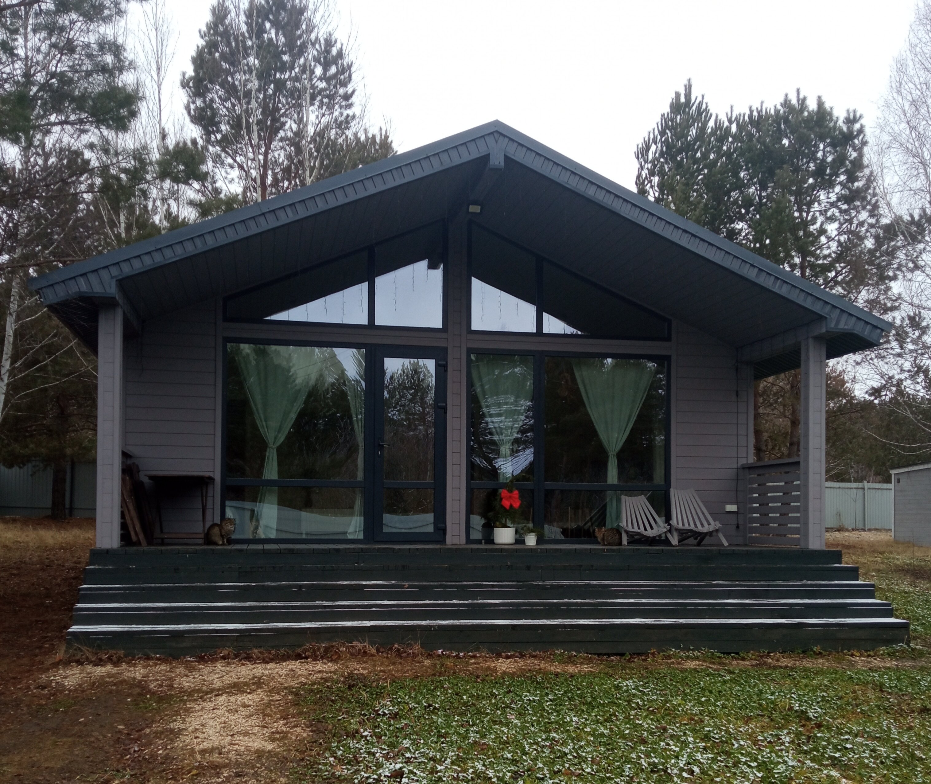 Фото Сосны. Тут