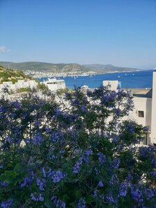Dolce Bodrum Hotel — фото 4