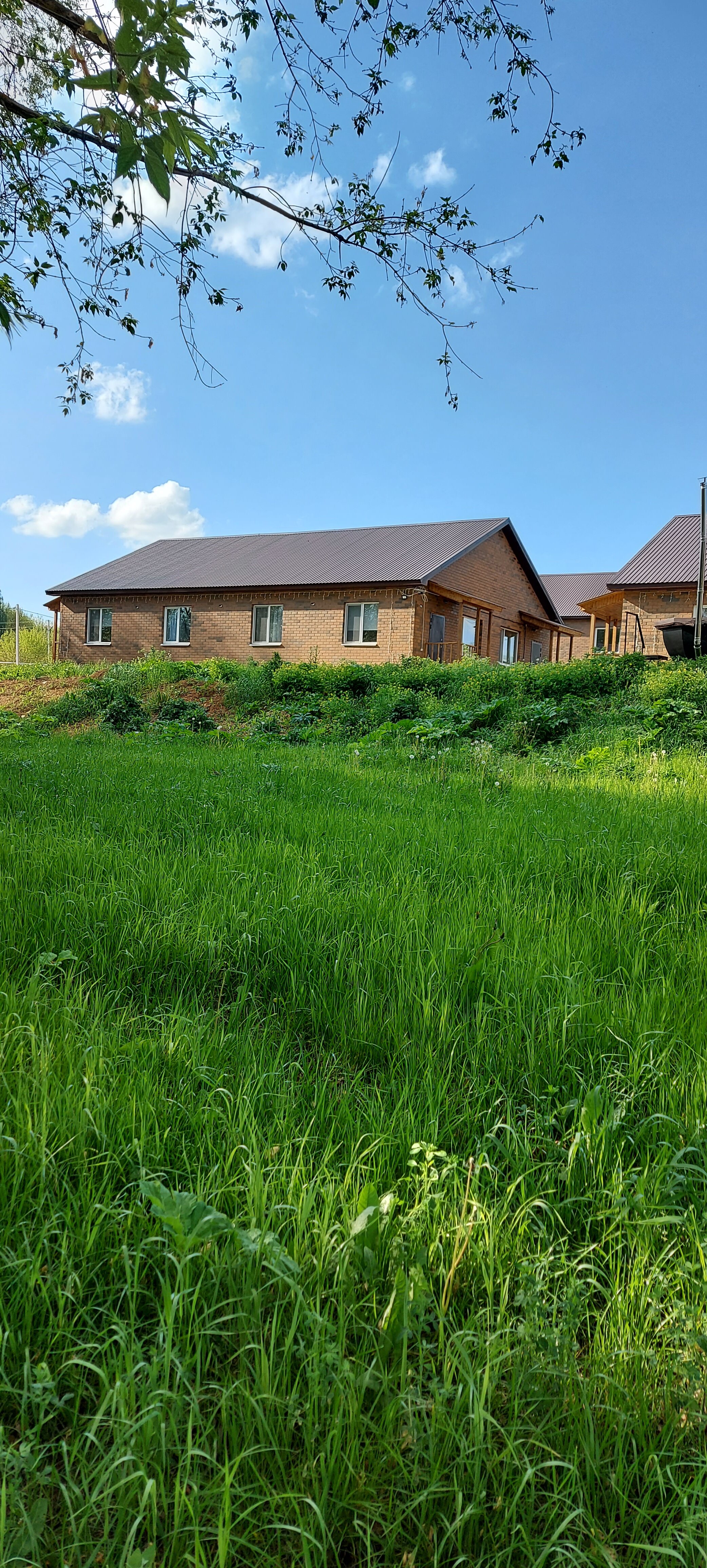 Фото Ёлки-Палки