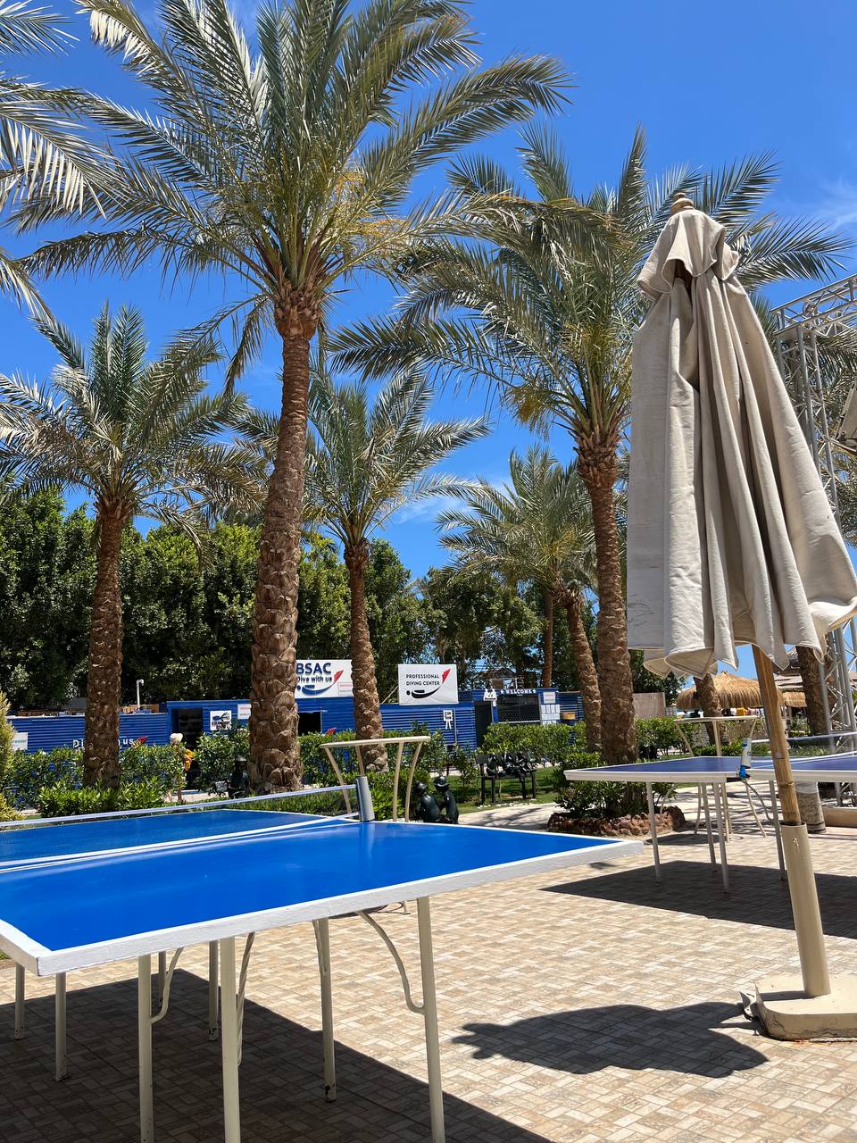 Фото Elysees Dream Beach Hotel