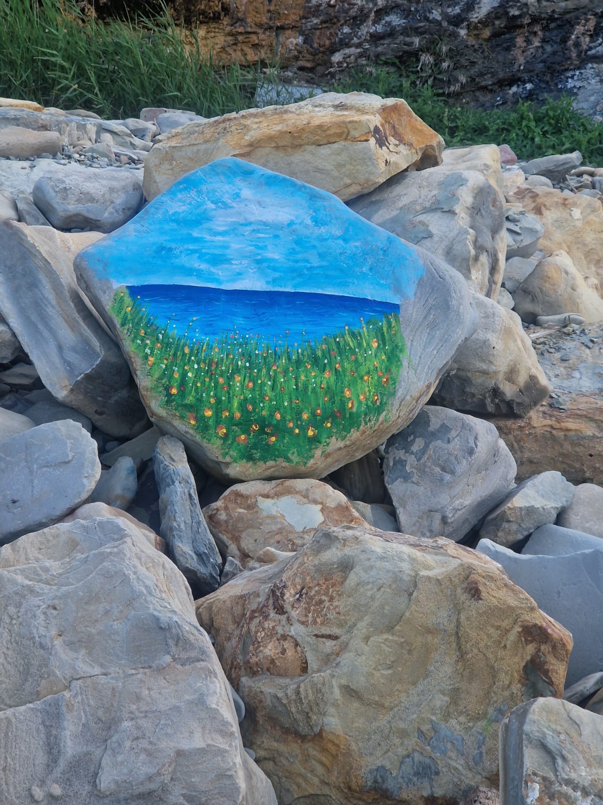 Фото Виколь