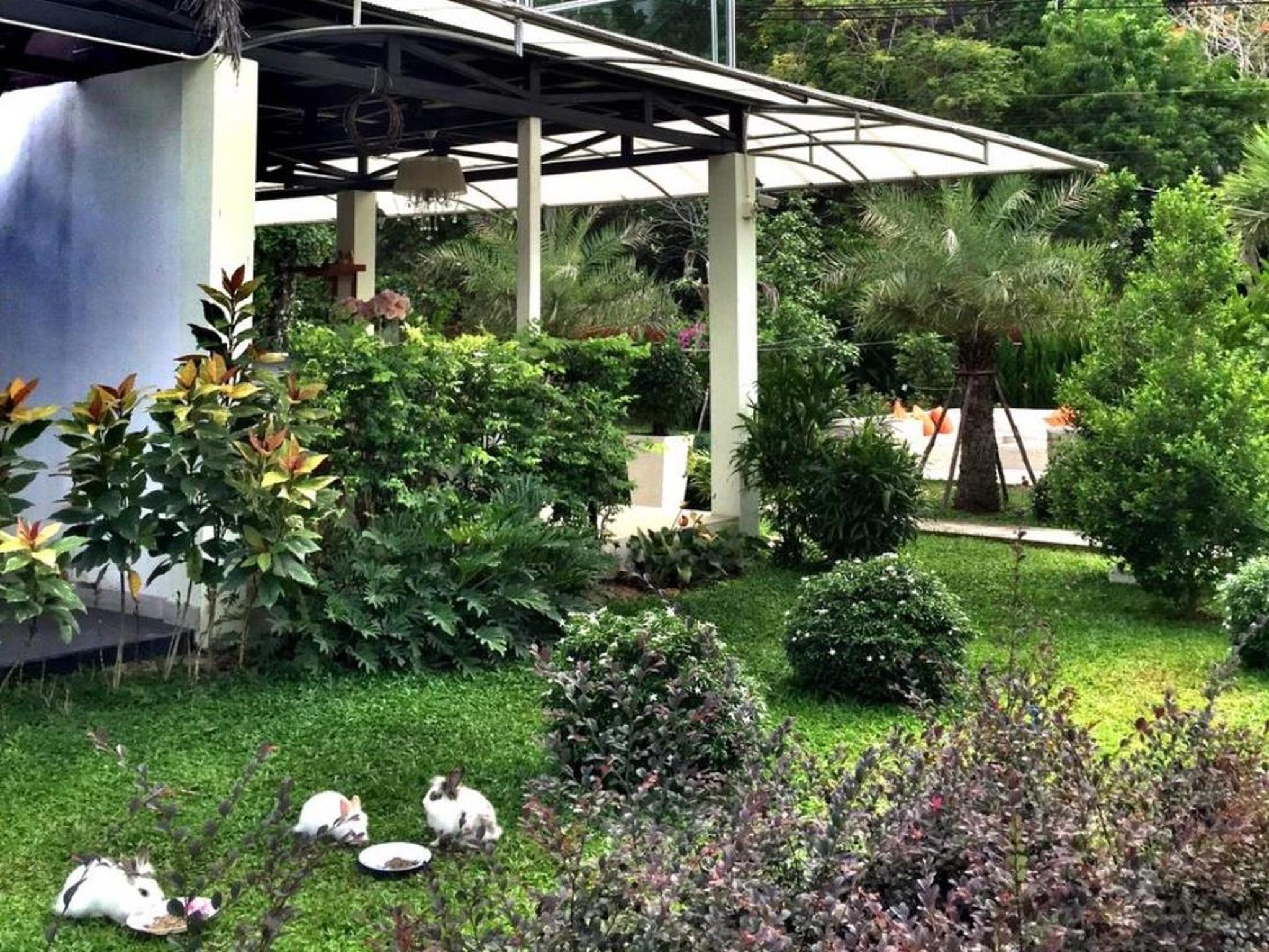 Фото V Valley Resort