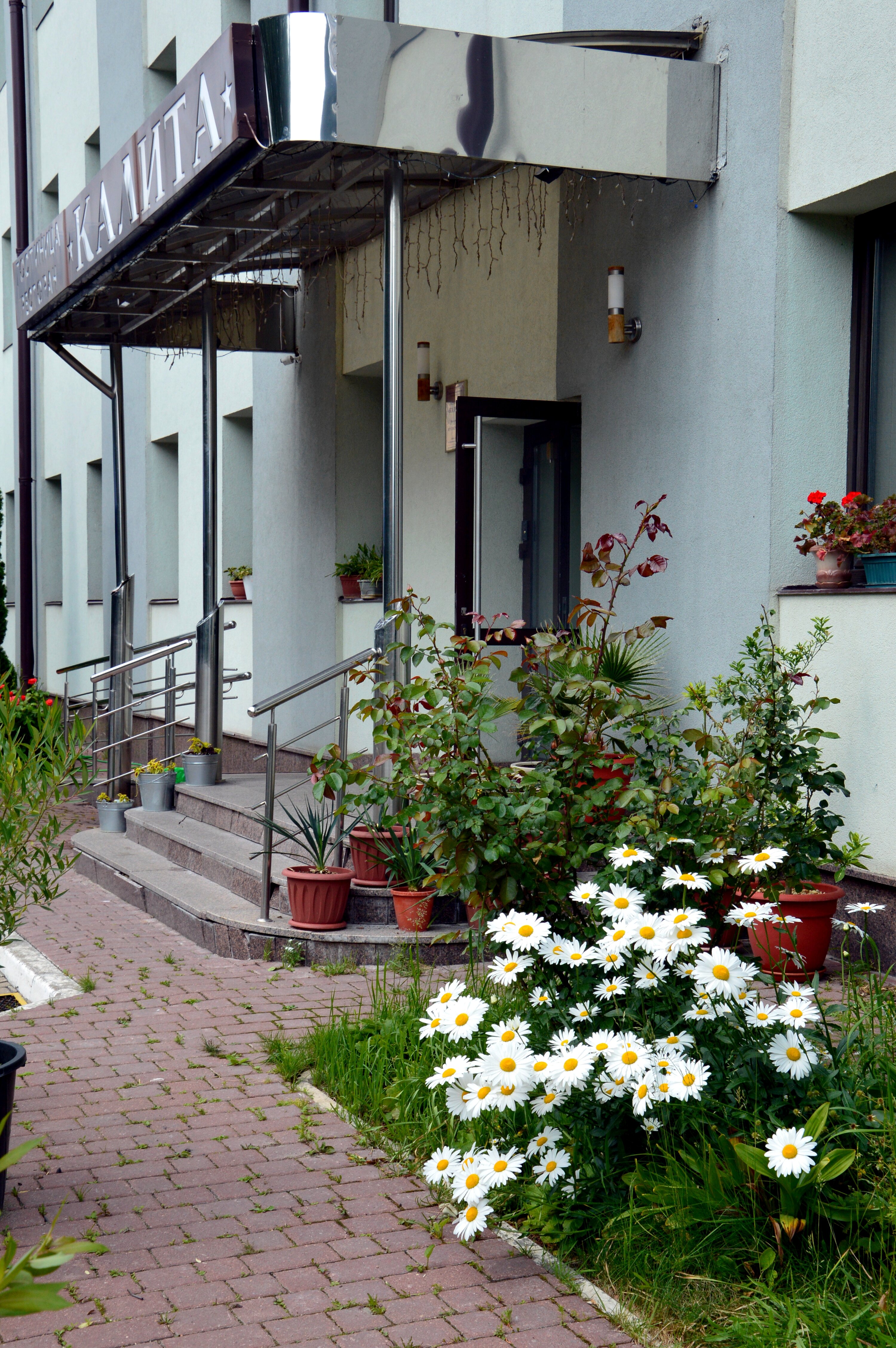 Фото отеля 5