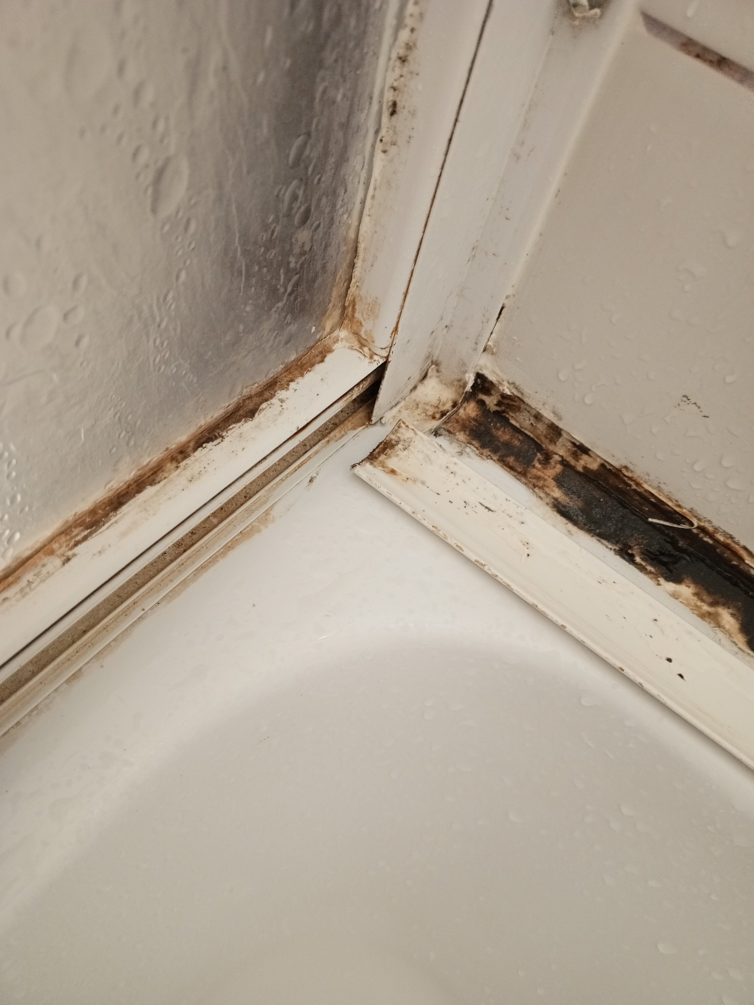 Фото Радуга