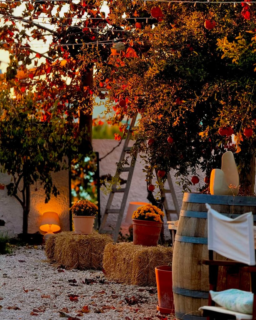 Restaurant Levan, Urla, photo