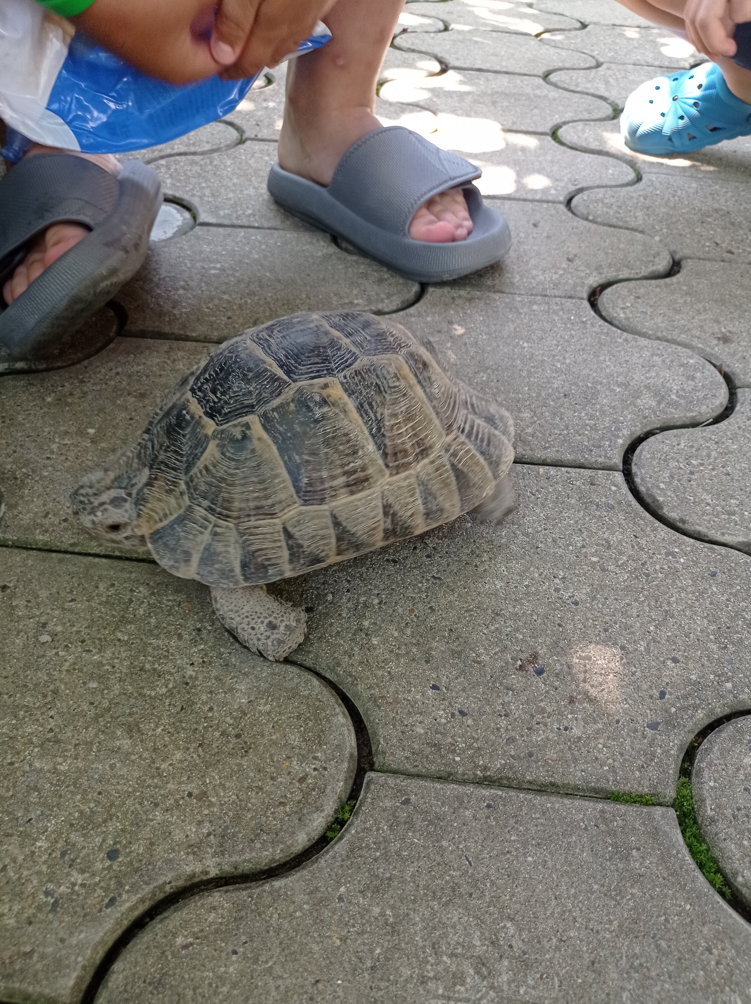 Фото Гостевой дом Ростовский дворик