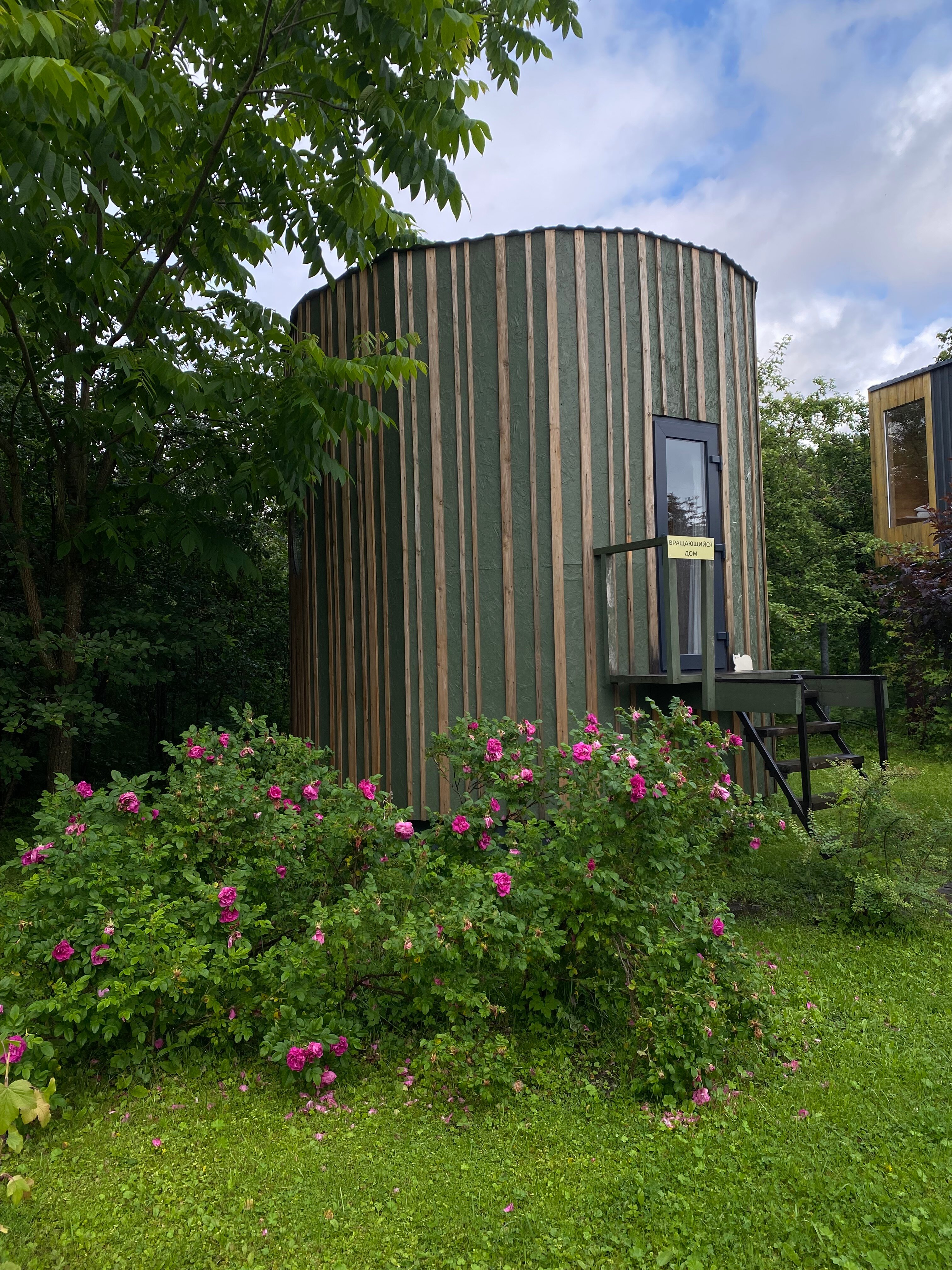 Фото Дом на дереве