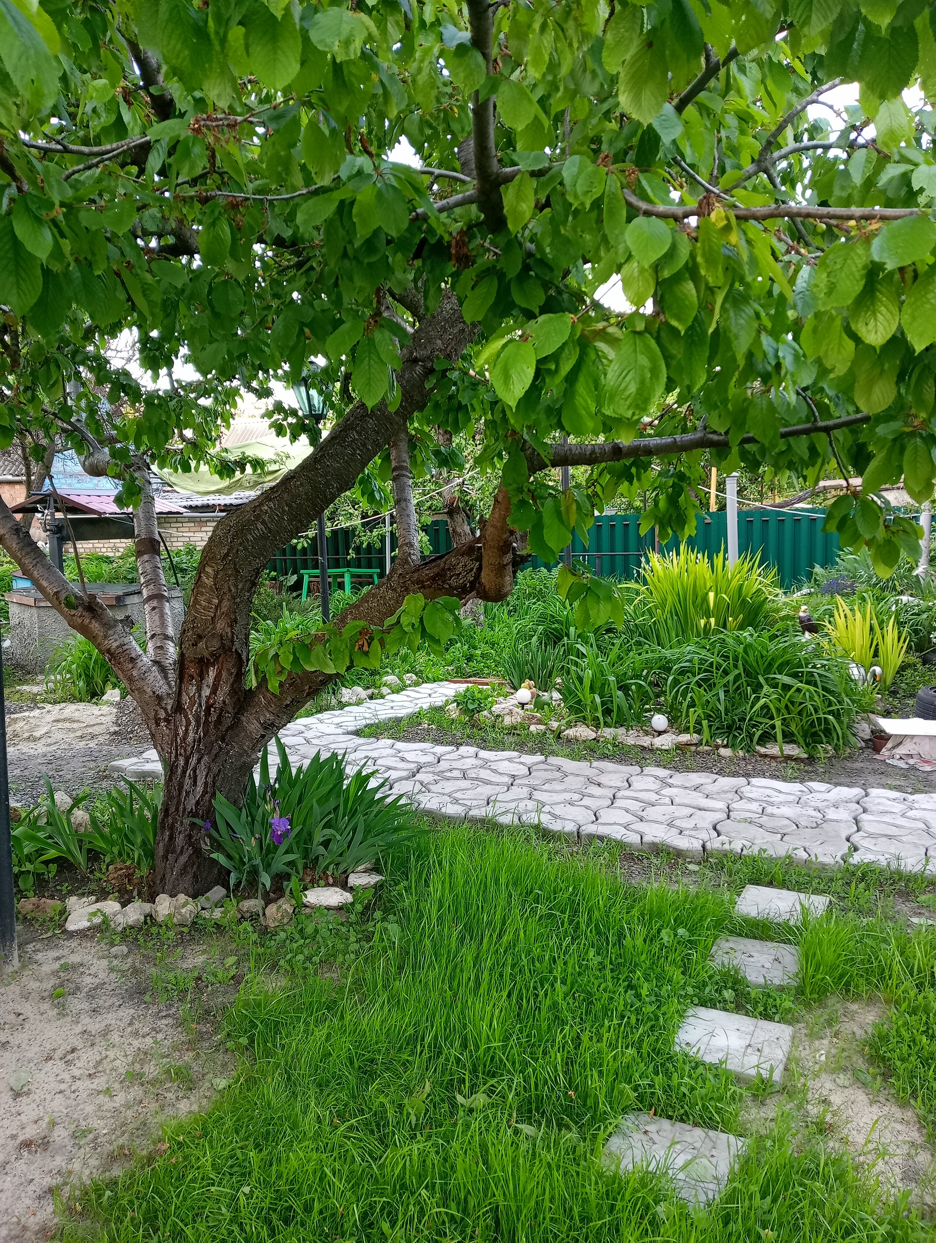 Фото Валентина