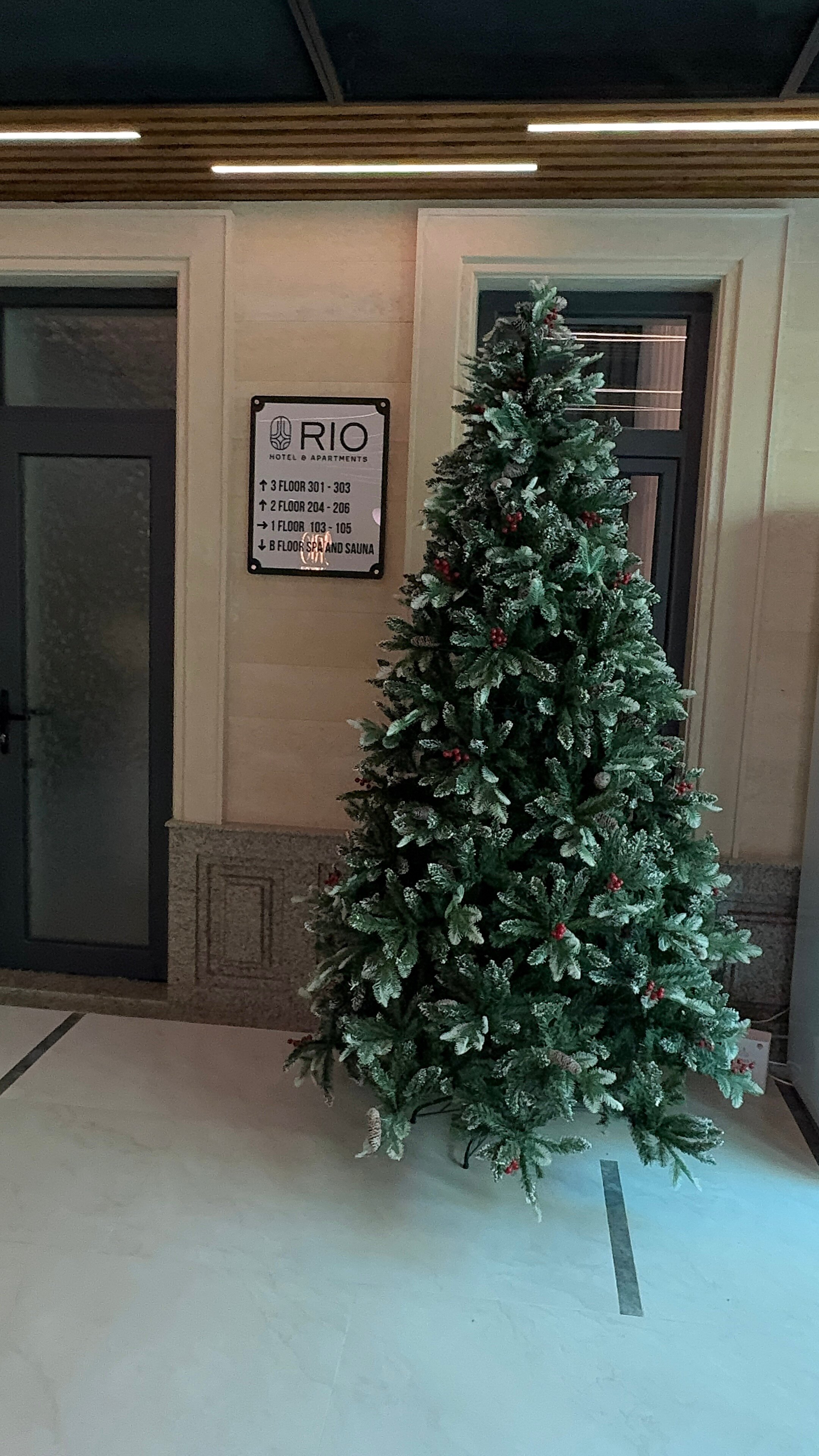 Фото Rio Hotel & Apartments