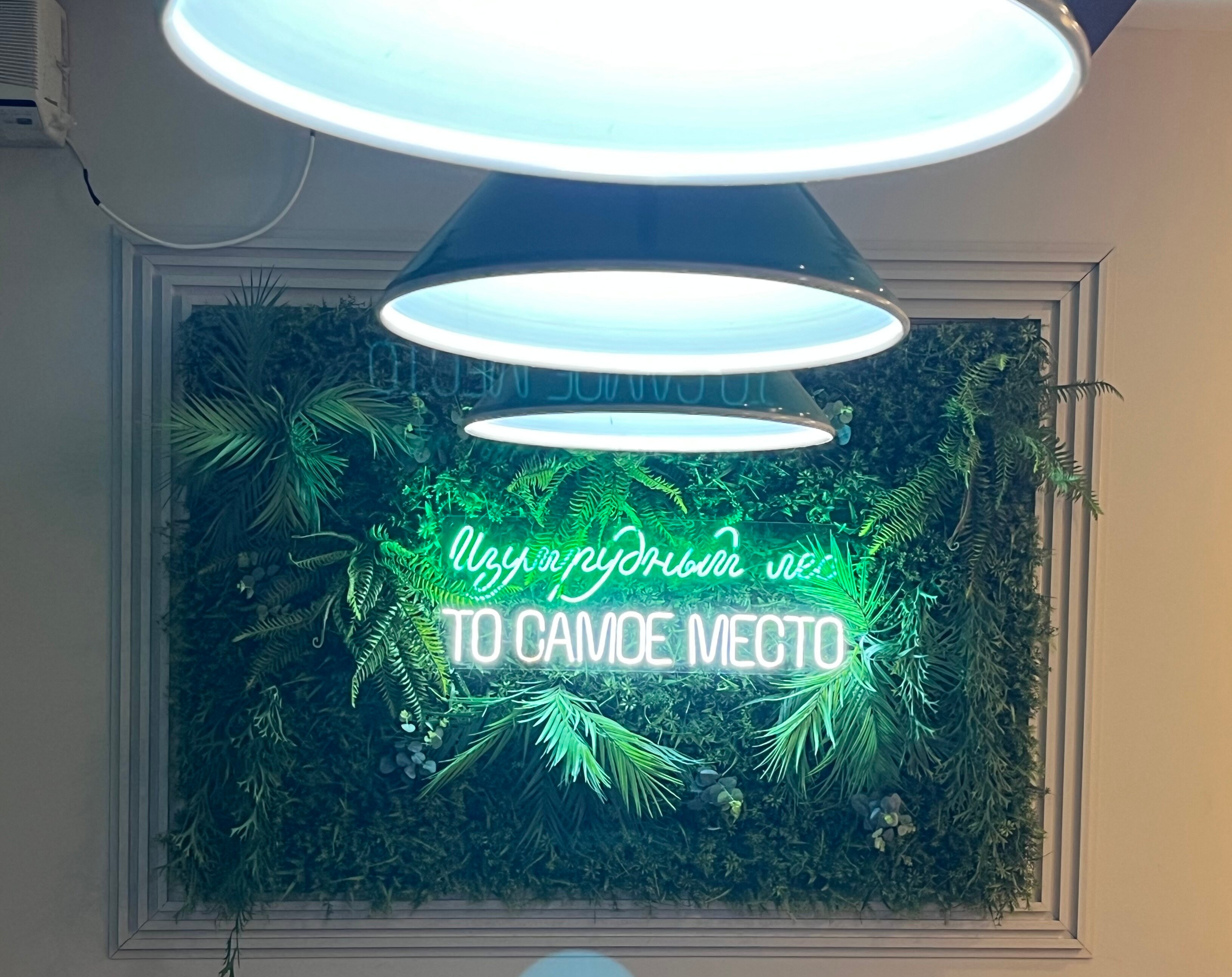 Фото Изумрудный лес