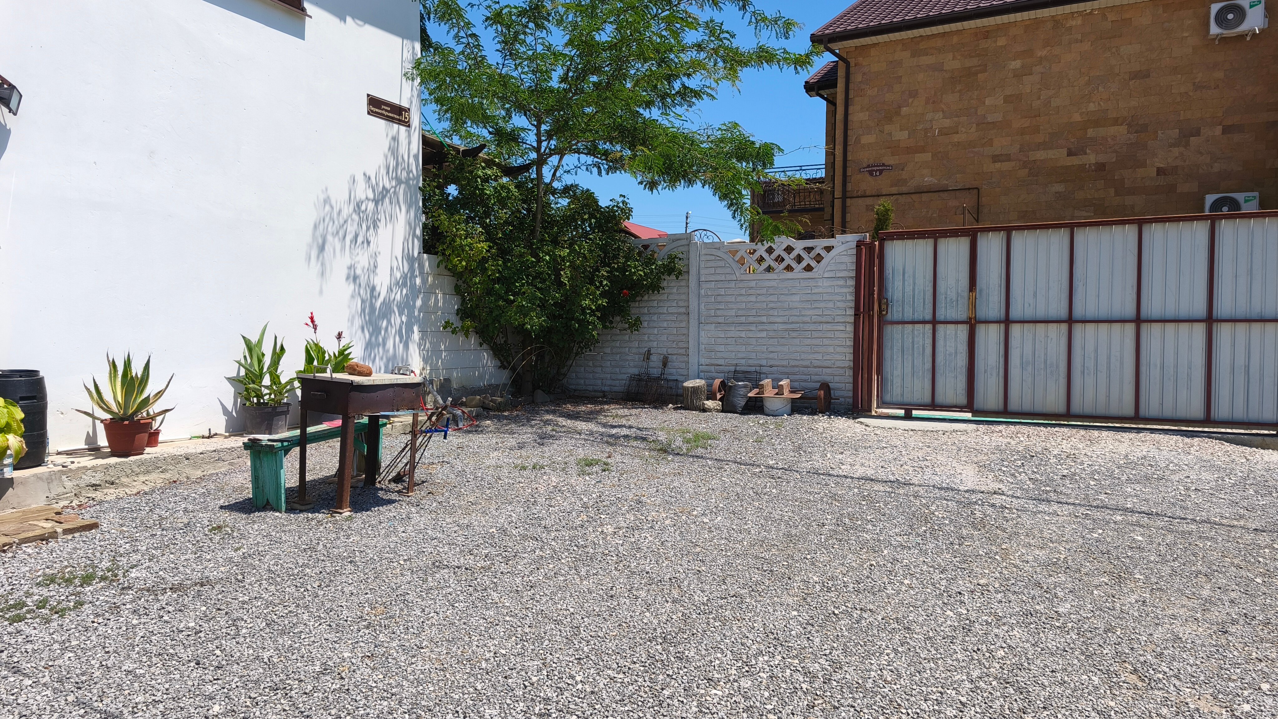 Фото Жемчужина Меганома