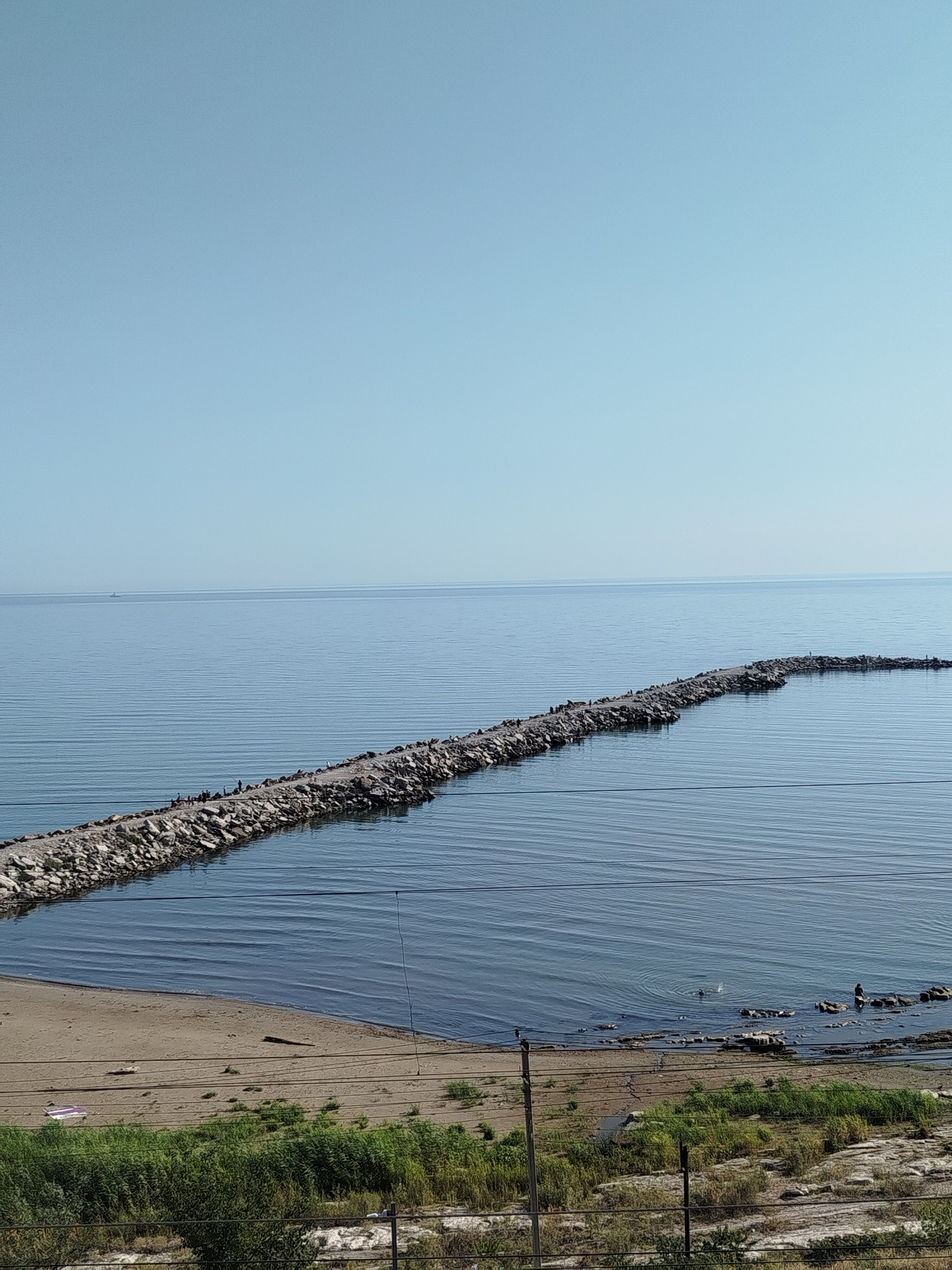 Фото Берёзка